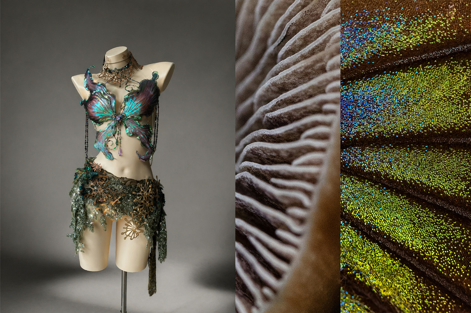 Iridescent Networks detail 1